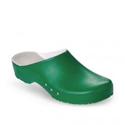 Schurr Chiroclogs...