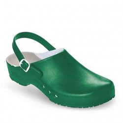 Schurr Chiroclogs...